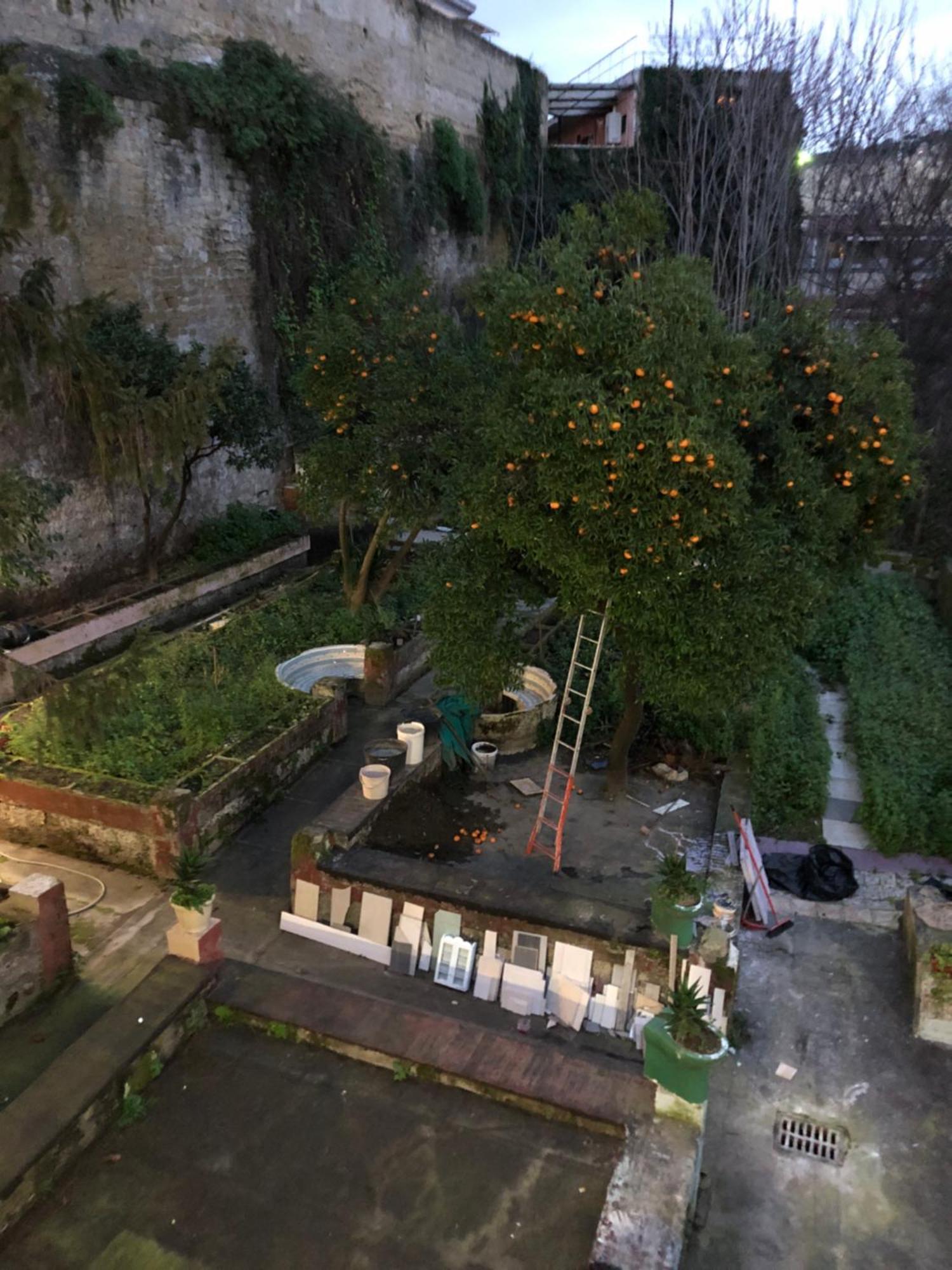 Casa Dea Napoli Apartment Bagian luar foto